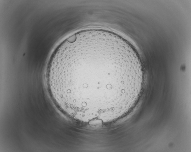 X0000116641517201001251125