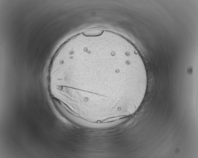 X0000116641519201001251125