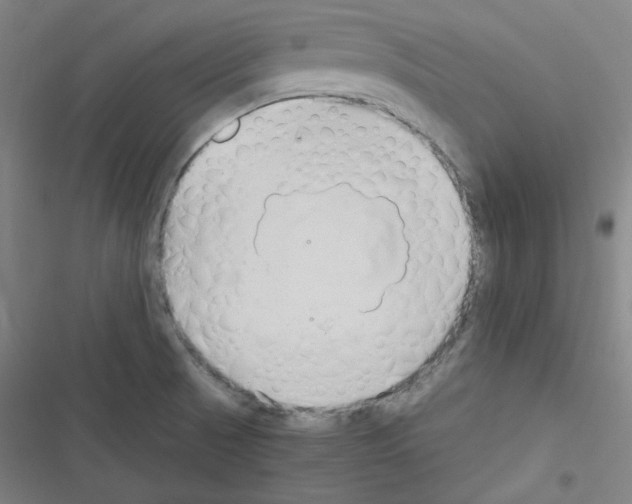 X0000116641521201001251125