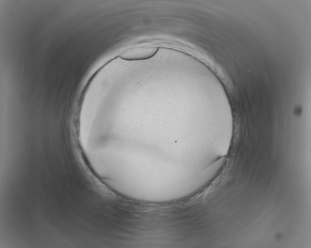 X0000116641522201001251125