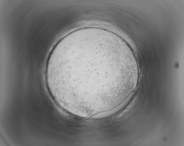 X0000116641525201001251125