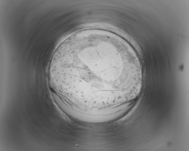 X0000116641529201001251125