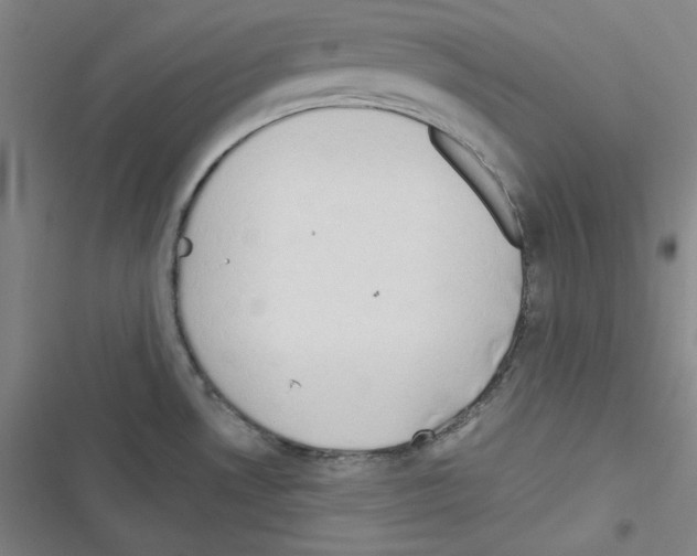 X0000116641530201001251125