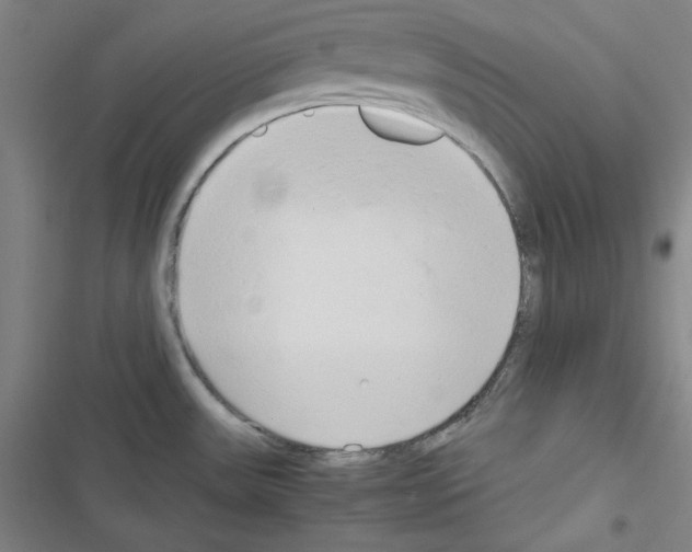 X0000116641531201001251125