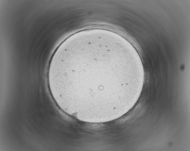 X0000116641533201001251125