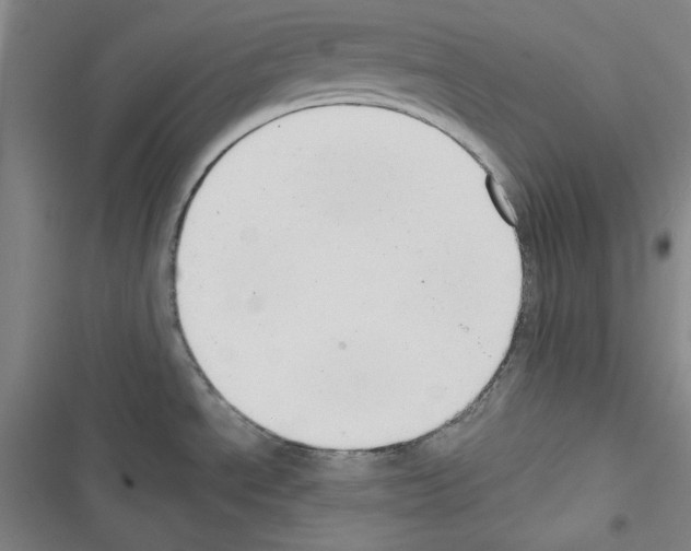 X0000116641534201001251125