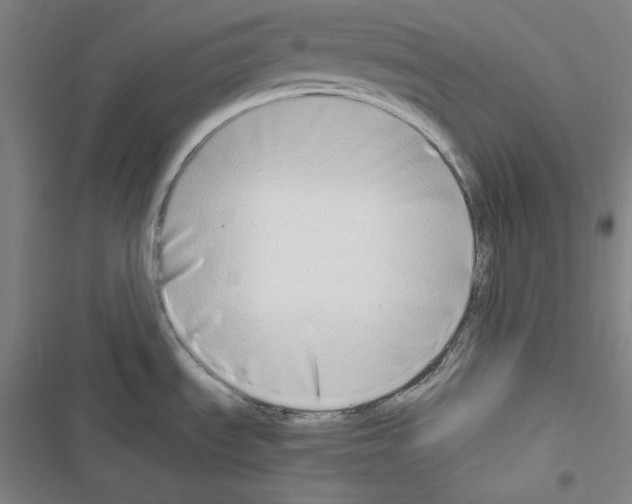 X0000116641535201001251125