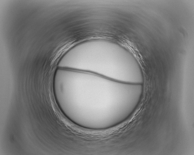 X0000116650001200912141015