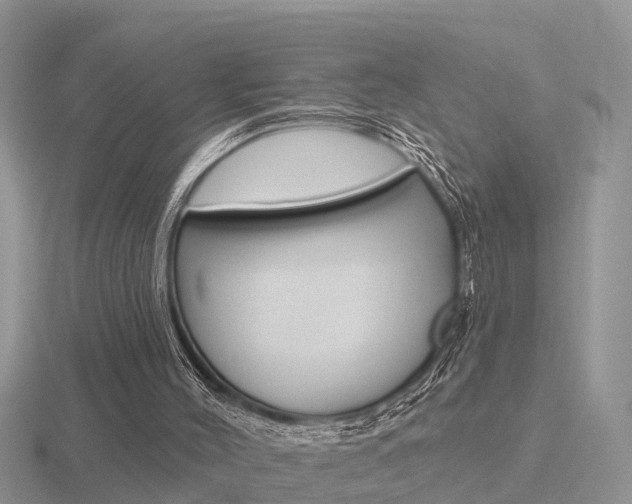 X0000116650004200912141015