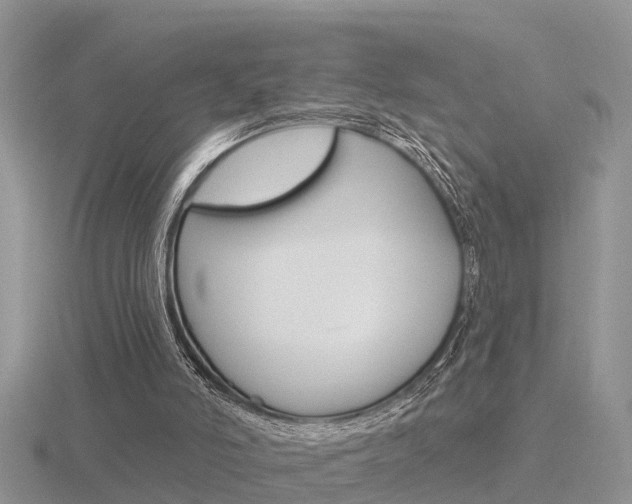 X0000116650006200912141015