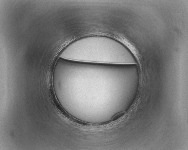 X0000116650009200912141015