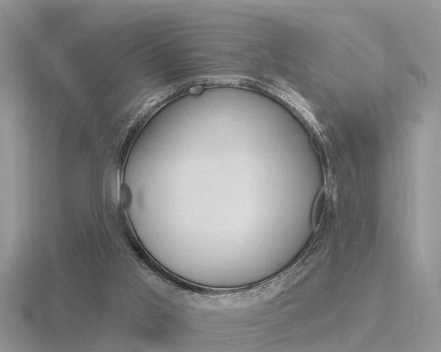 X0000116650013200912141015