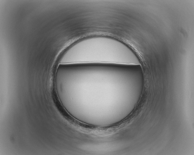 X0000116650016200912141015
