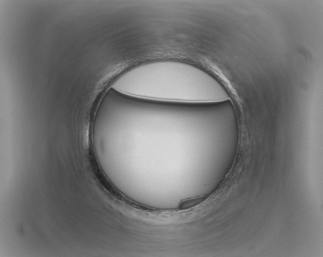 X0000116650019200912141015
