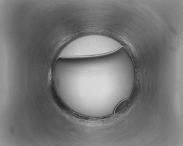 X0000116650024200912141015