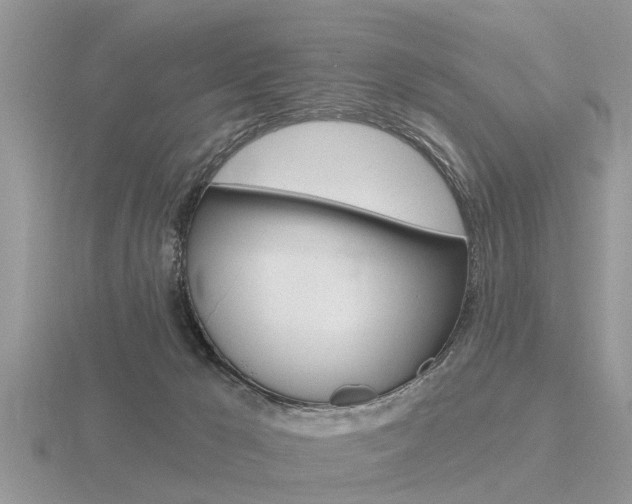 X0000116650029200912141015