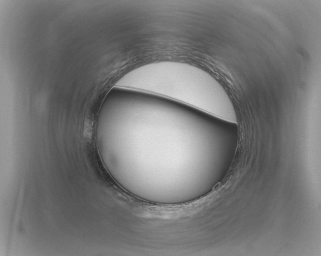X0000116650033200912141015