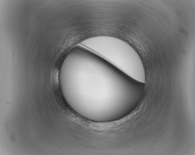 X0000116650041200912141015