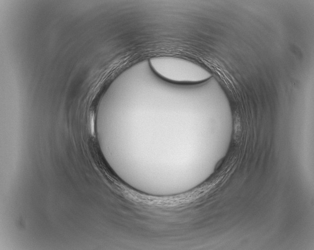 X0000116650046200912141015