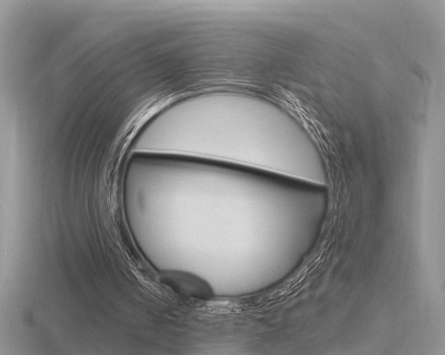 X0000116650050200912141014