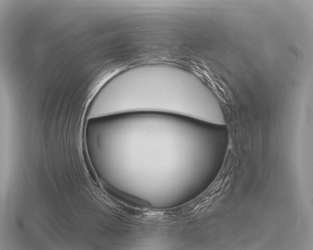 X0000116650052200912141014