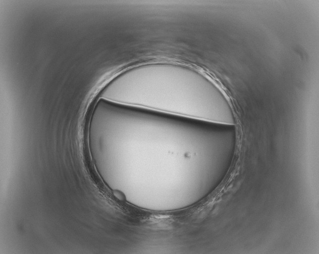 X0000116650055200912141014