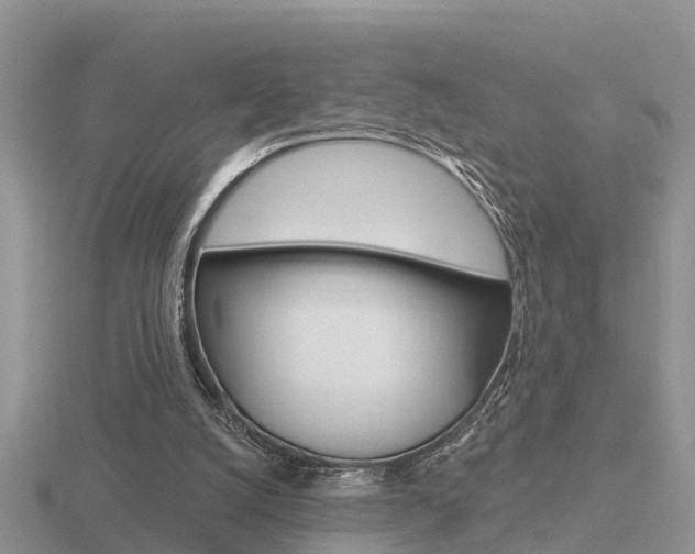 X0000116650056200912141014