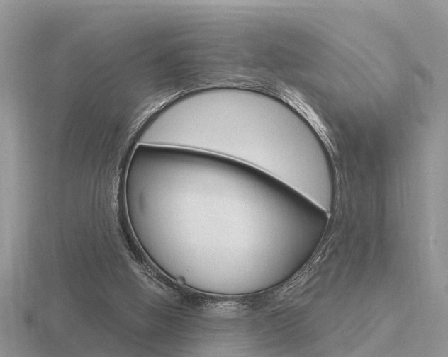 X0000116650058200912141014