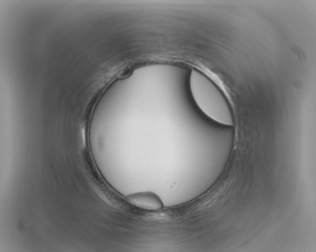 X0000116650061200912141014