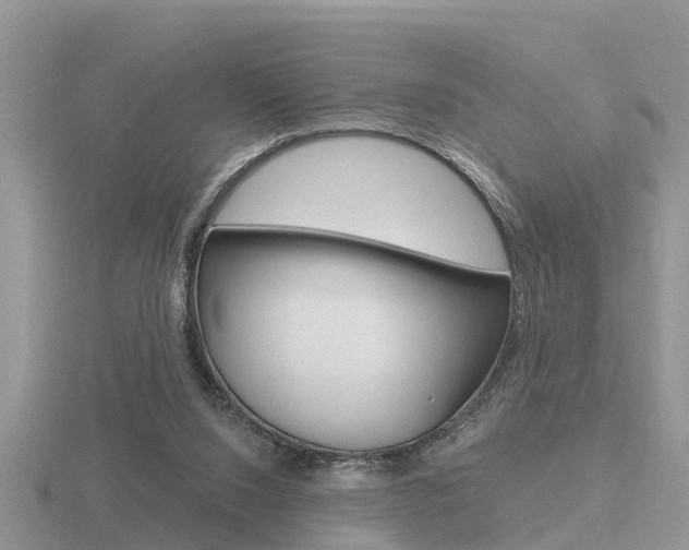 X0000116650064200912141014