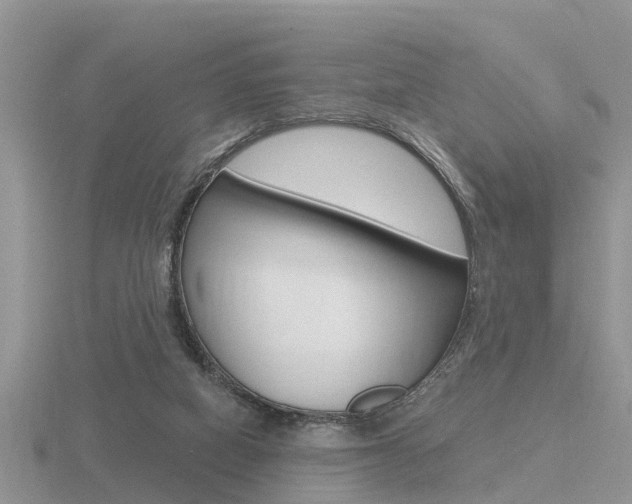 X0000116650066200912141014