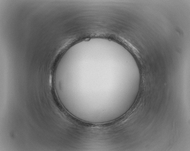 X0000116650067200912141014