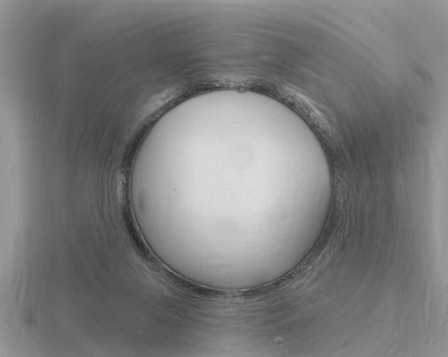 X0000116650071200912141015
