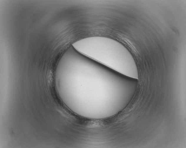 X0000116650077200912141015