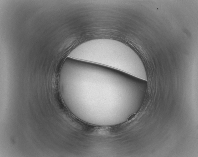 X0000116650078200912141015