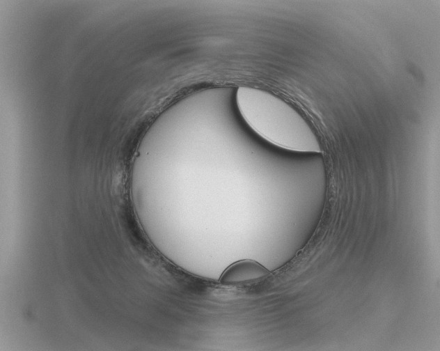 X0000116650079200912141015