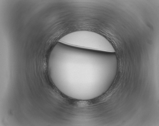 X0000116650085200912141015