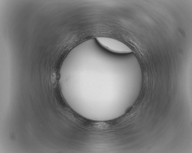 X0000116650087200912141015