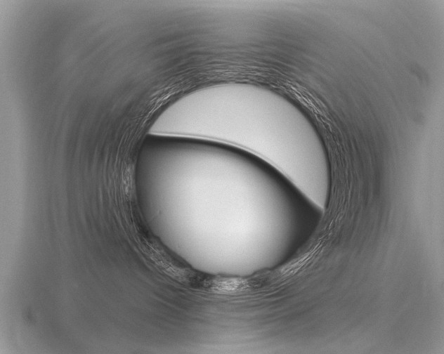 X0000116650096200912141015