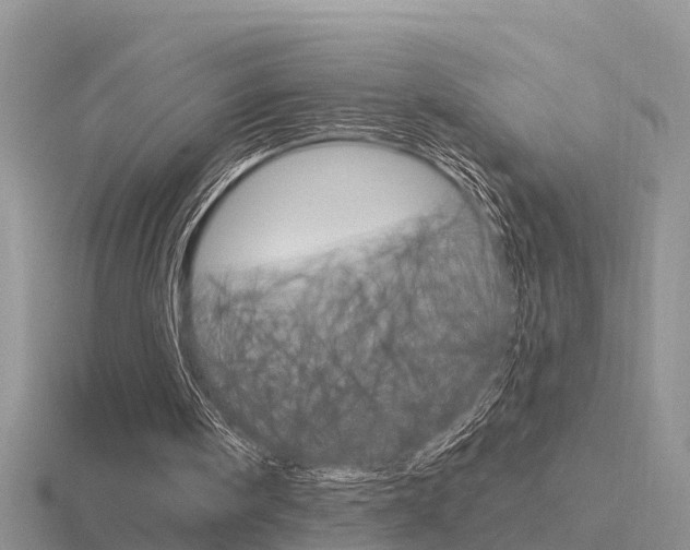 X0000116650098200912141014
