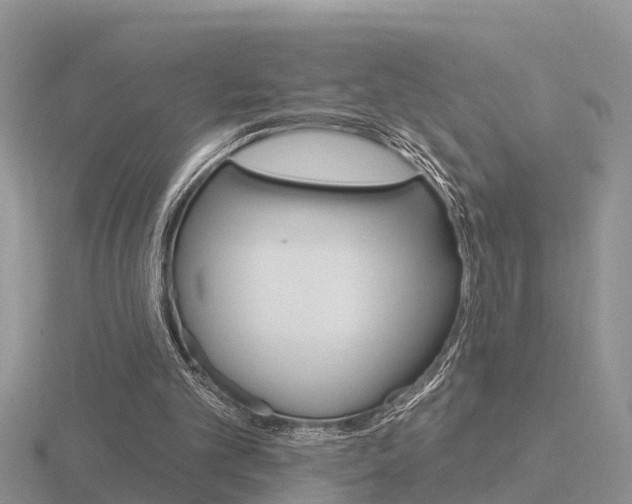 X0000116650101200912141014