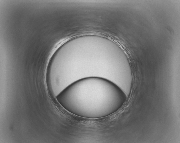 X0000116650104200912141014