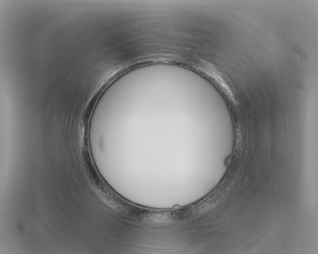 X0000116650110200912141014