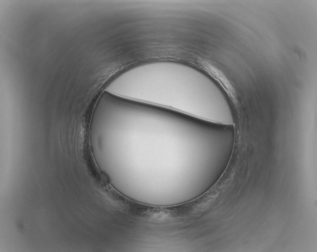 X0000116650113200912141014