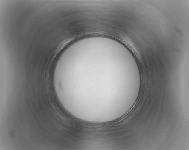 X0000116650116200912141014
