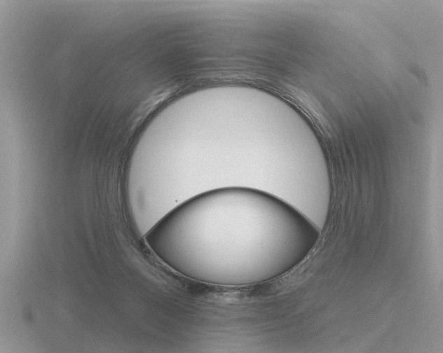 X0000116650120200912141014