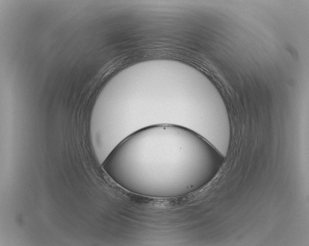 X0000116650124200912141014