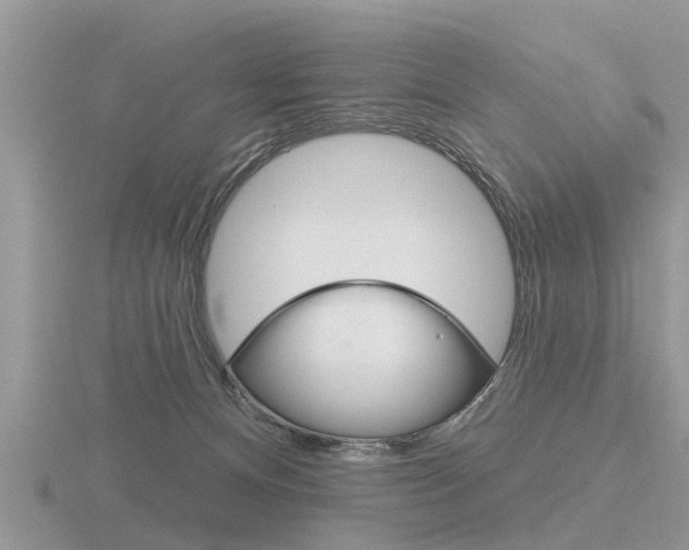 X0000116650128200912141014