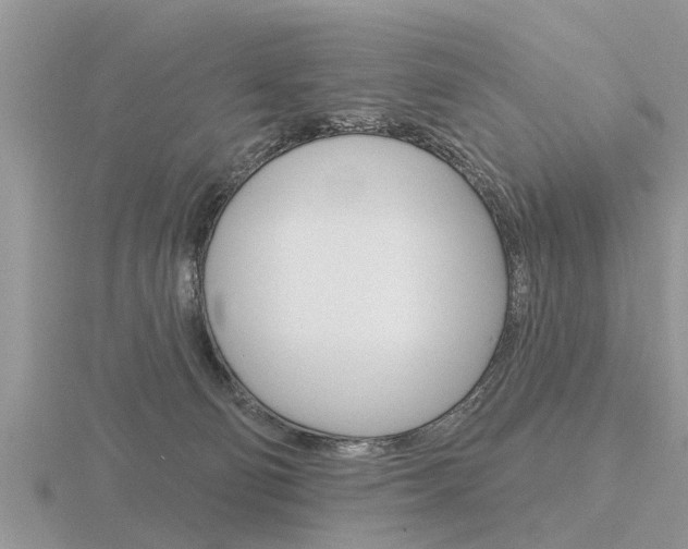 X0000116650130200912141014