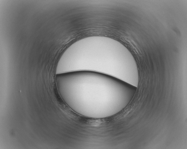 X0000116650131200912141014